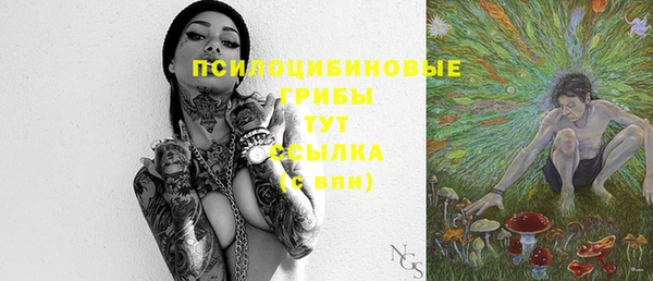 дживик Аркадак