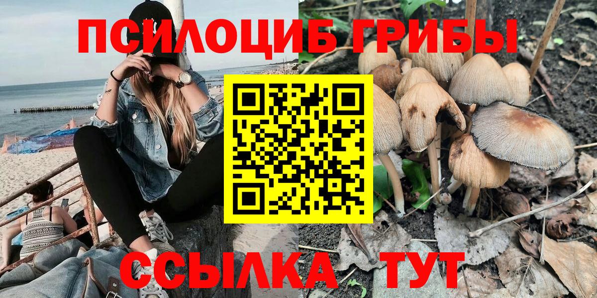 Псилоцибиновые грибы MAGIC MUSHROOMS Усинск