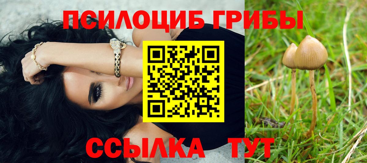 цена наркотик  Псилоцибиновые грибы Magic Shrooms  Псилоцибиновые грибы GOLDEN TEACHER  Вход с VPN  Усинск 